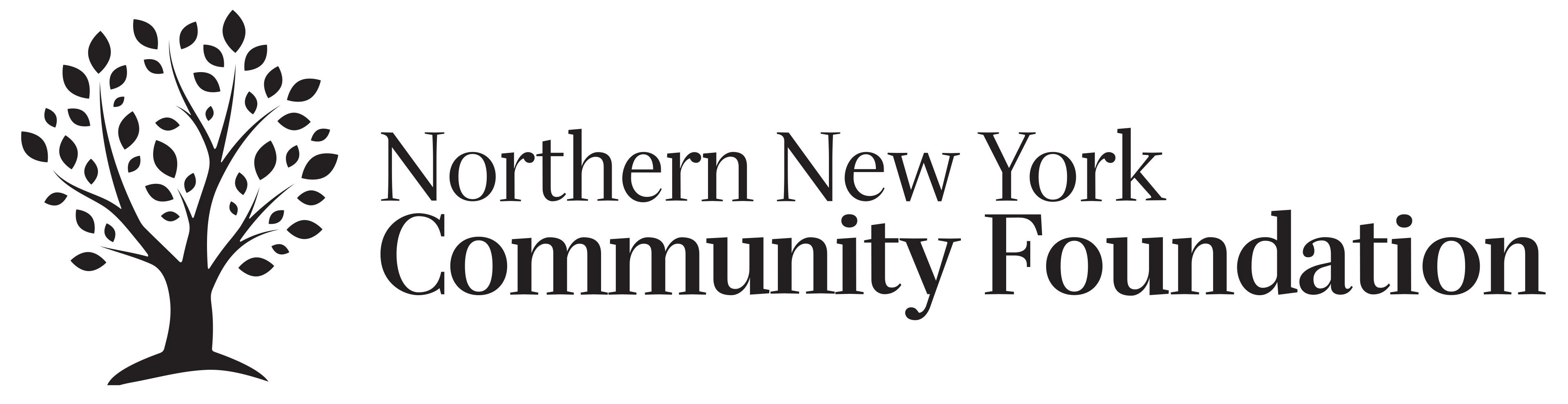 NNY Community Foundation